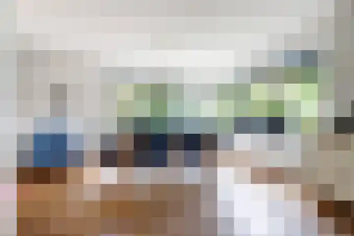 de Lingert 5155 Wijchen thumbnail 8