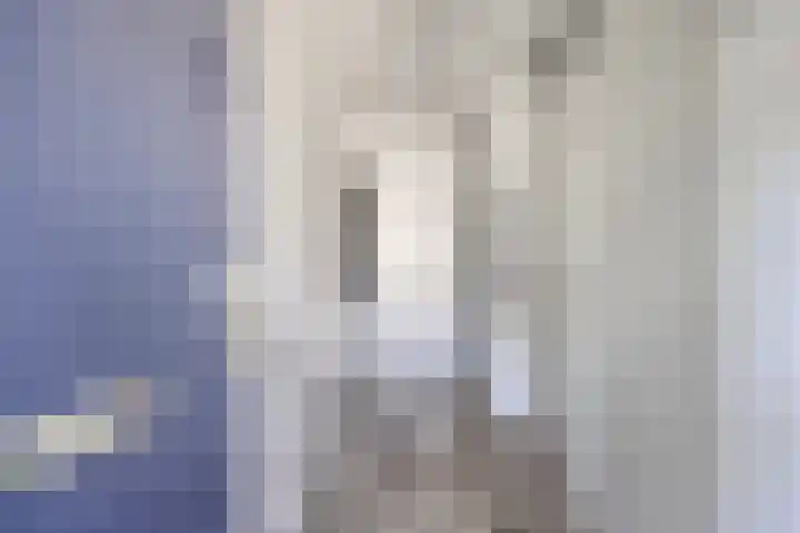 de Lingert 5506 Wijchen thumbnail 12