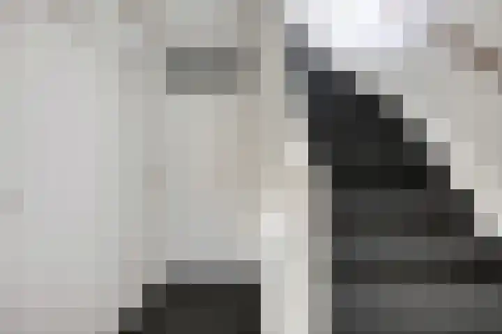 de Lingert 5506 Wijchen thumbnail 22