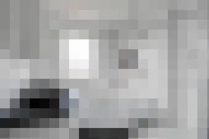 de Lingert 5506 Wijchen thumbnail 29