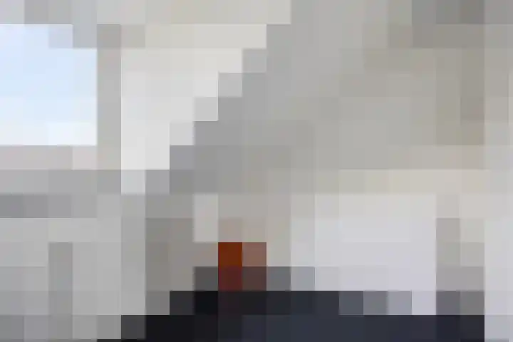 de Lingert 5506 Wijchen thumbnail 29