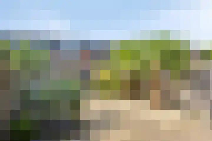 de Lingert 5506 Wijchen thumbnail 30