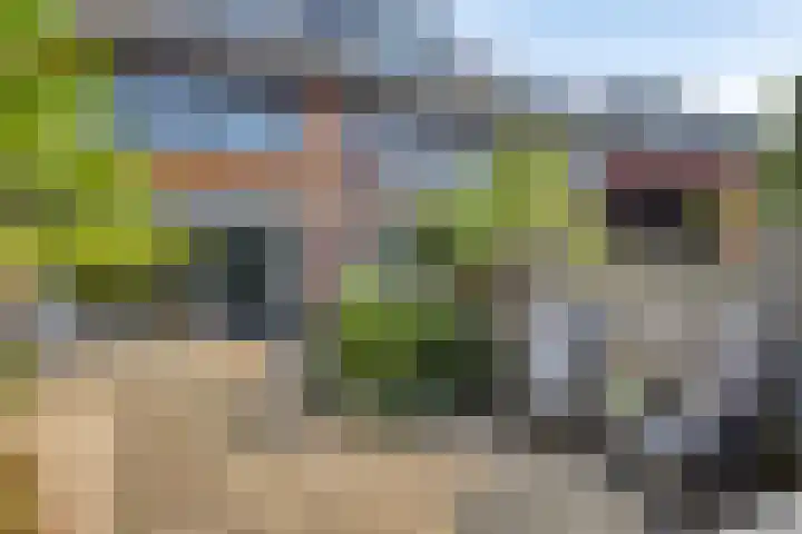 de Lingert 5506 Wijchen thumbnail 31