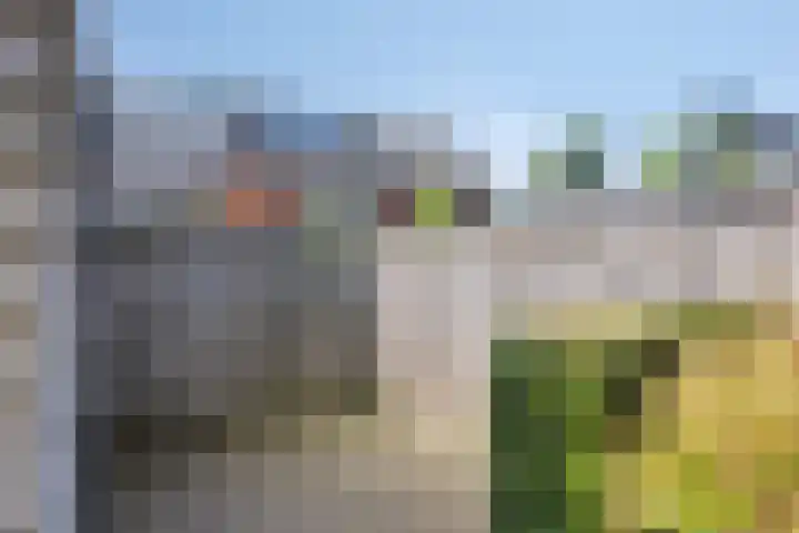 de Lingert 5506 Wijchen thumbnail 32