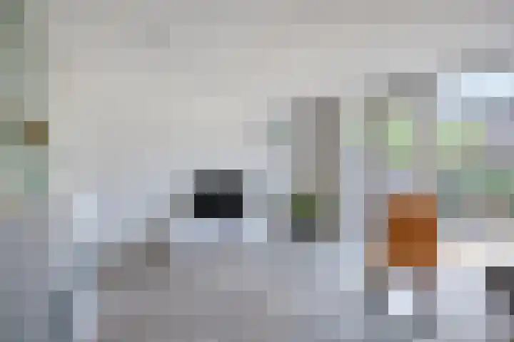 de Lingert 5506 Wijchen thumbnail 5