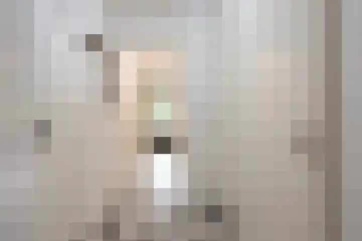 de Lingert 5506 Wijchen thumbnail 6