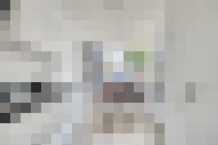 de Lingert 5506 Wijchen thumbnail 6