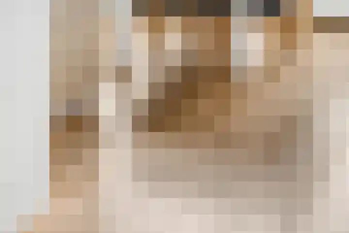 de Lingert 5609 Wijchen thumbnail 14