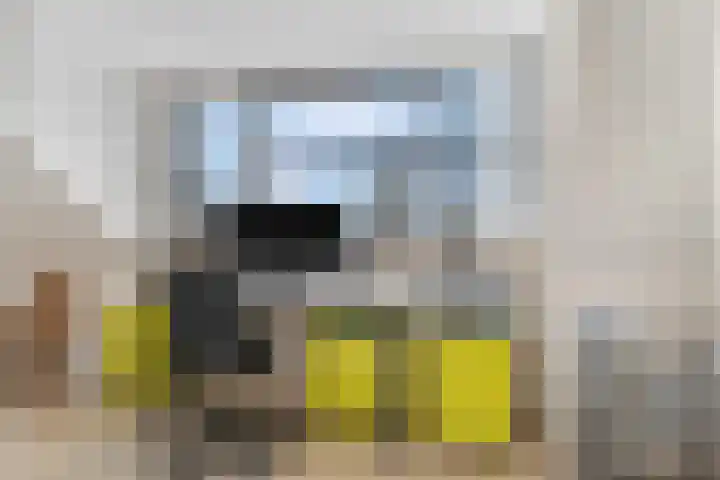 de Lingert 5609 Wijchen thumbnail 32