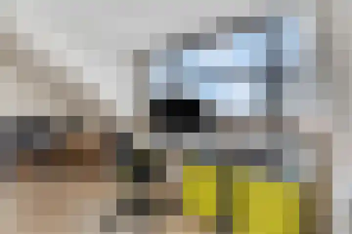 de Lingert 5609 Wijchen thumbnail 33
