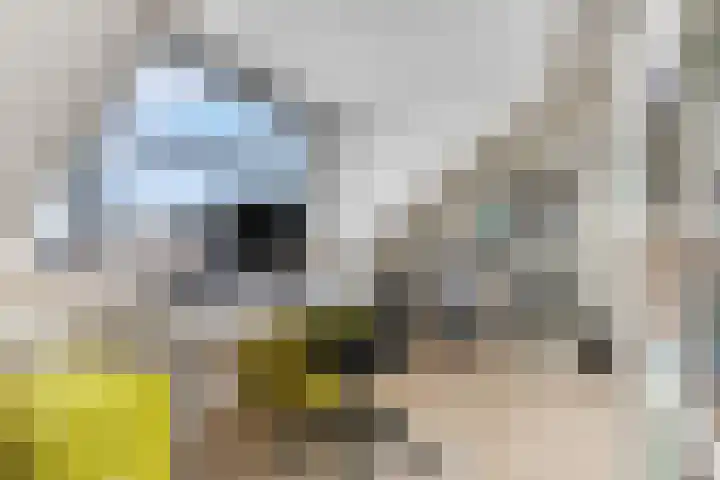 de Lingert 5609 Wijchen thumbnail 34