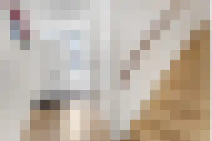 de Lingert 5609 Wijchen thumbnail 36