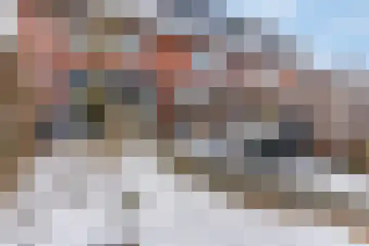 de Lingert 5609 Wijchen thumbnail 39