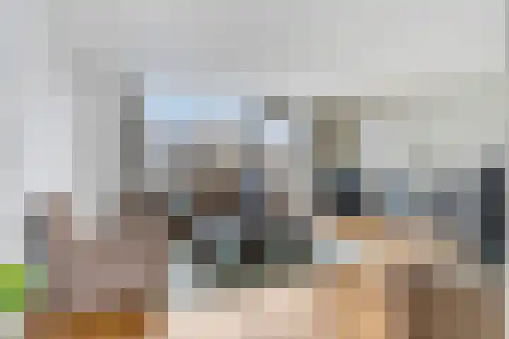 de Lingert 5609 Wijchen thumbnail 4