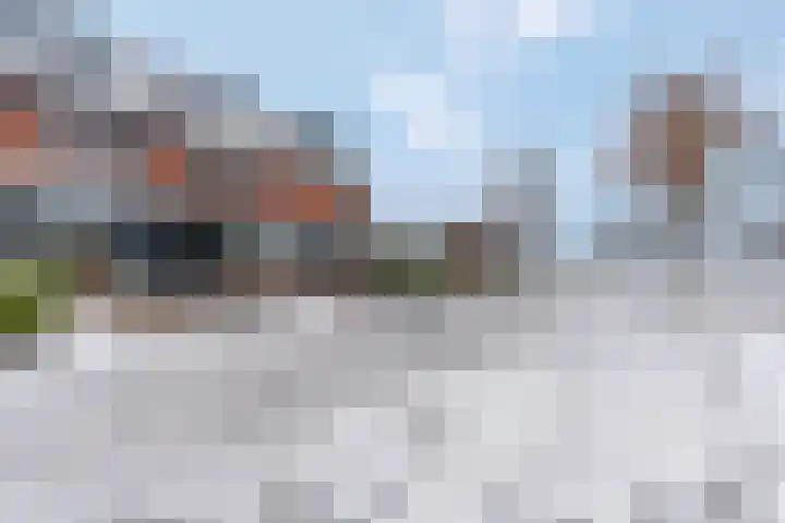 de Lingert 5609 Wijchen thumbnail 43