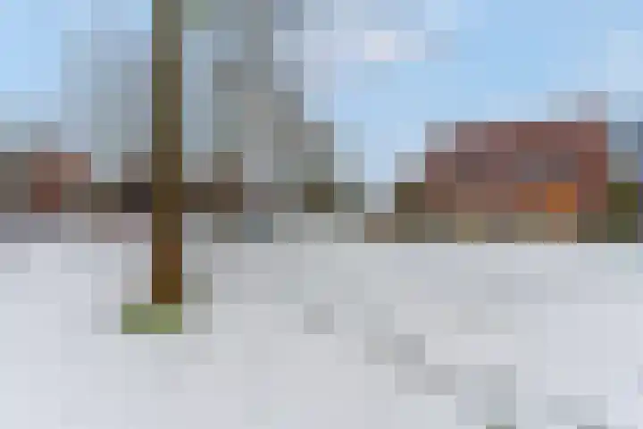 de Lingert 5609 Wijchen thumbnail 49