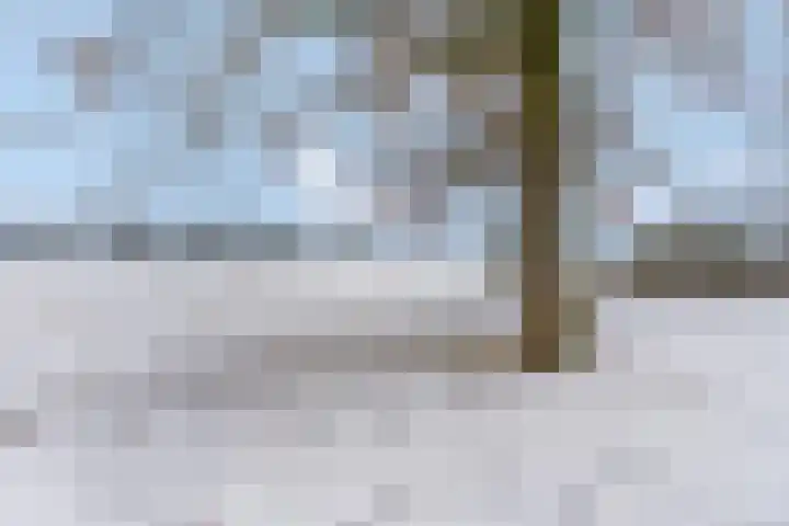 de Lingert 5609 Wijchen thumbnail 50