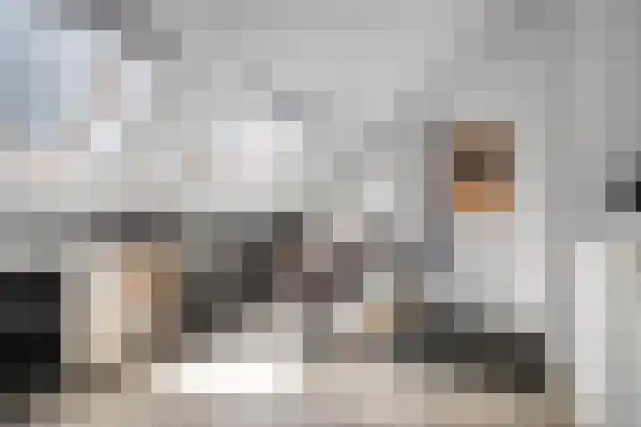 de Lingert 5710 Wijchen thumbnail 19