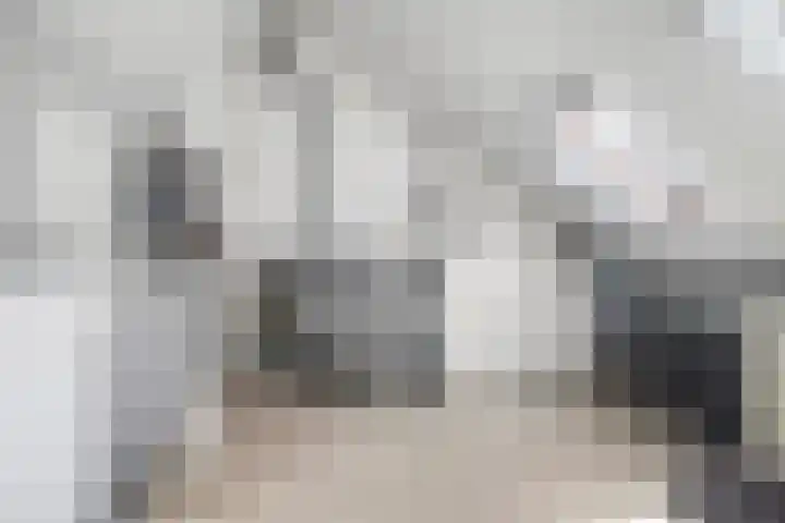 de Lingert 5710 Wijchen thumbnail 20