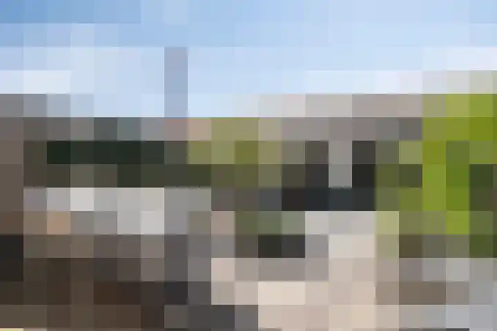 de Lingert 5710 Wijchen thumbnail 25