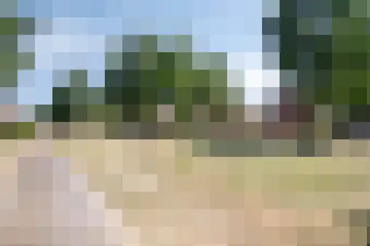 de Lingert 5710 Wijchen thumbnail 31