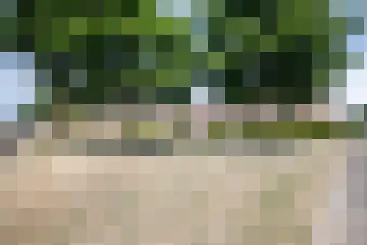 de Lingert 5710 Wijchen thumbnail 32