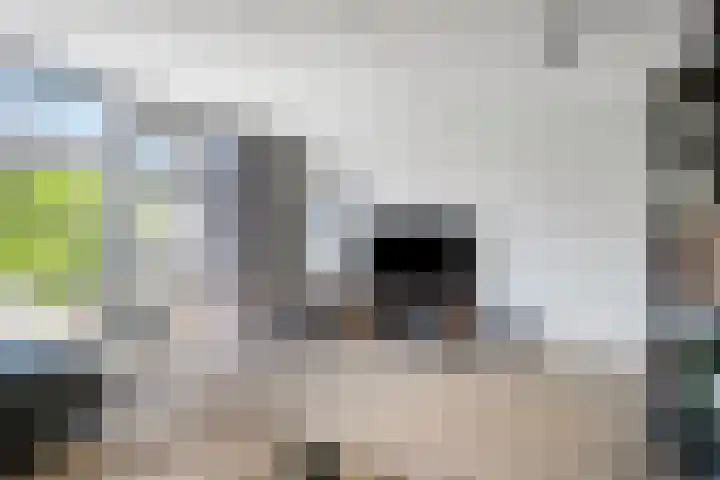 de Lingert 5710 Wijchen thumbnail 4