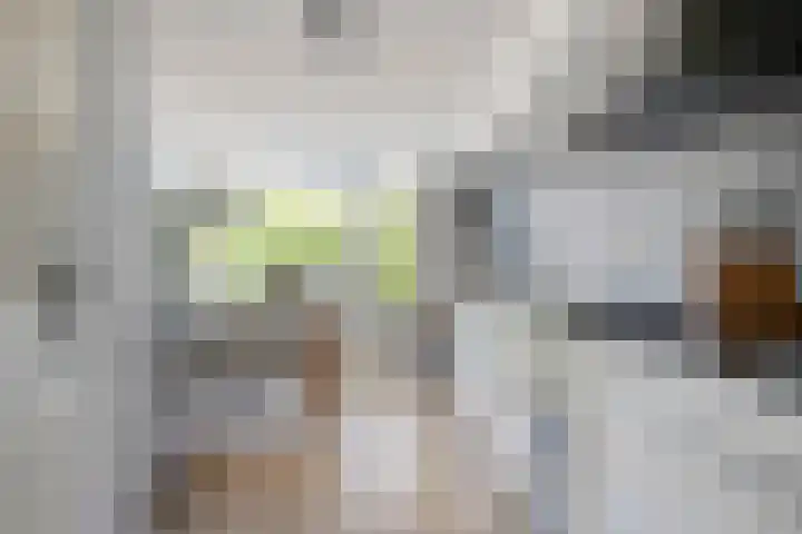 de Lingert 5710 Wijchen thumbnail 6