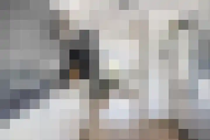 de Lingert 5710 Wijchen thumbnail 8