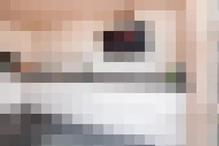 de Lingert 5806 Wijchen thumbnail 17