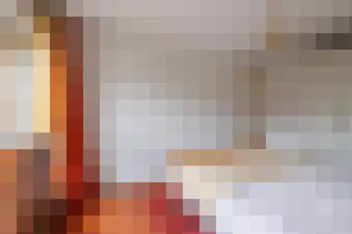 de Lingert 5806 Wijchen thumbnail 22