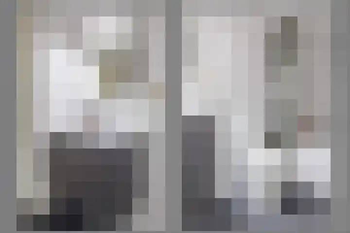 de Lingert 5806 Wijchen thumbnail 29