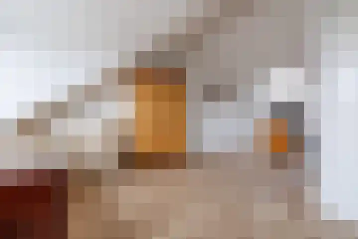 de Lingert 5806 Wijchen thumbnail 34