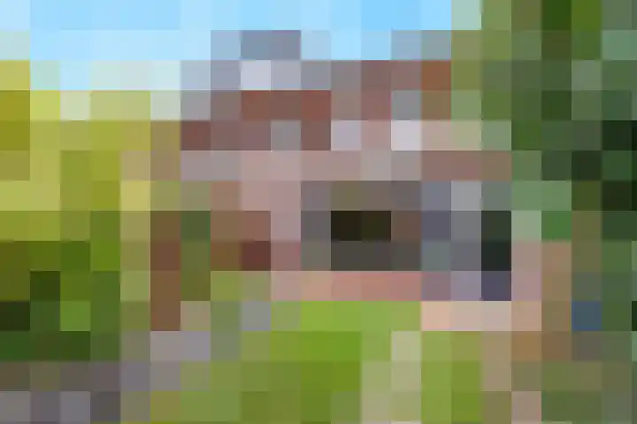 de Lingert 5806 Wijchen thumbnail 38