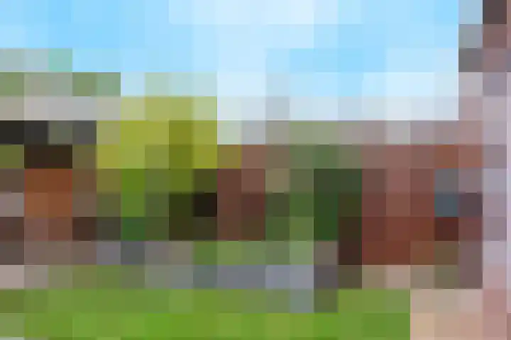 de Lingert 5806 Wijchen thumbnail 40