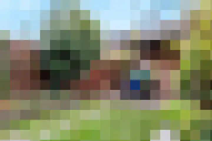 de Lingert 5806 Wijchen thumbnail 41