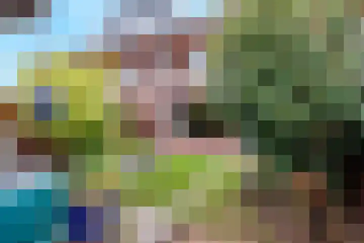 de Lingert 5806 Wijchen thumbnail 44