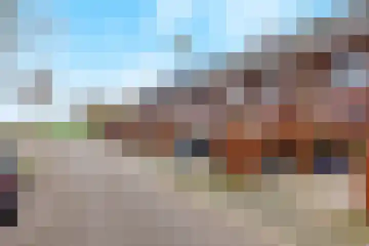 de Lingert 5806 Wijchen thumbnail 49