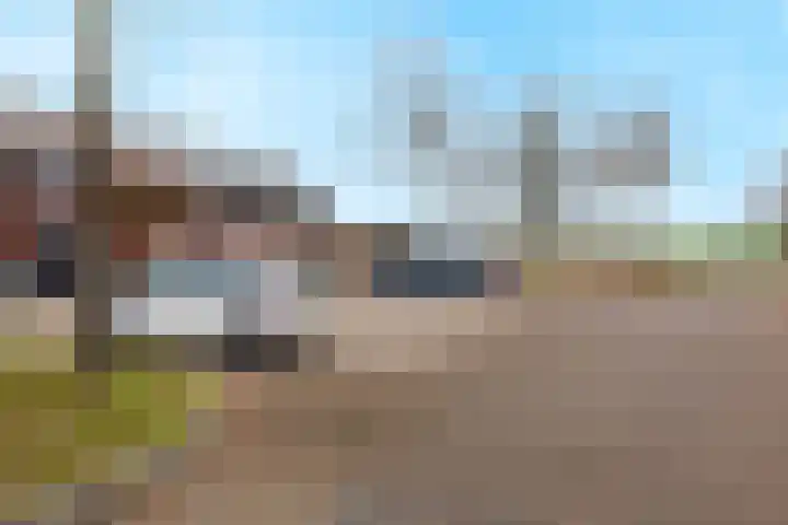 de Lingert 5806 Wijchen thumbnail 50