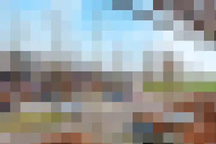 de Lingert 5806 Wijchen thumbnail 52