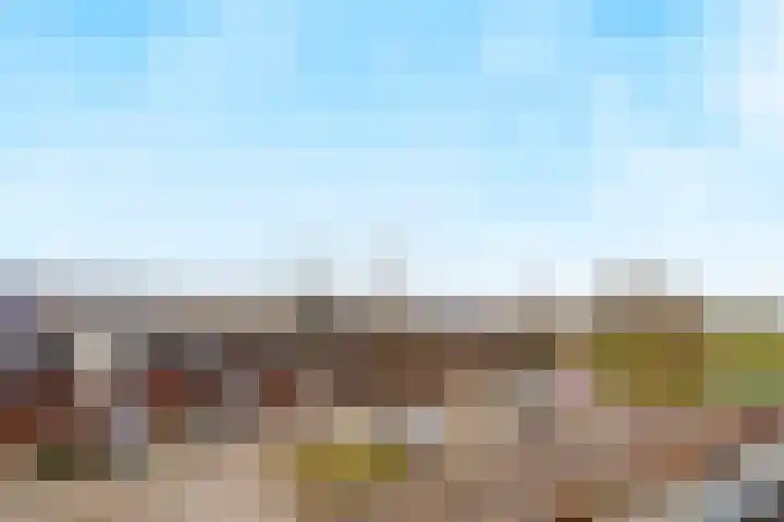 de Lingert 5806 Wijchen thumbnail 53