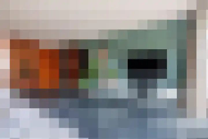 de Lingert 5806 Wijchen thumbnail 8