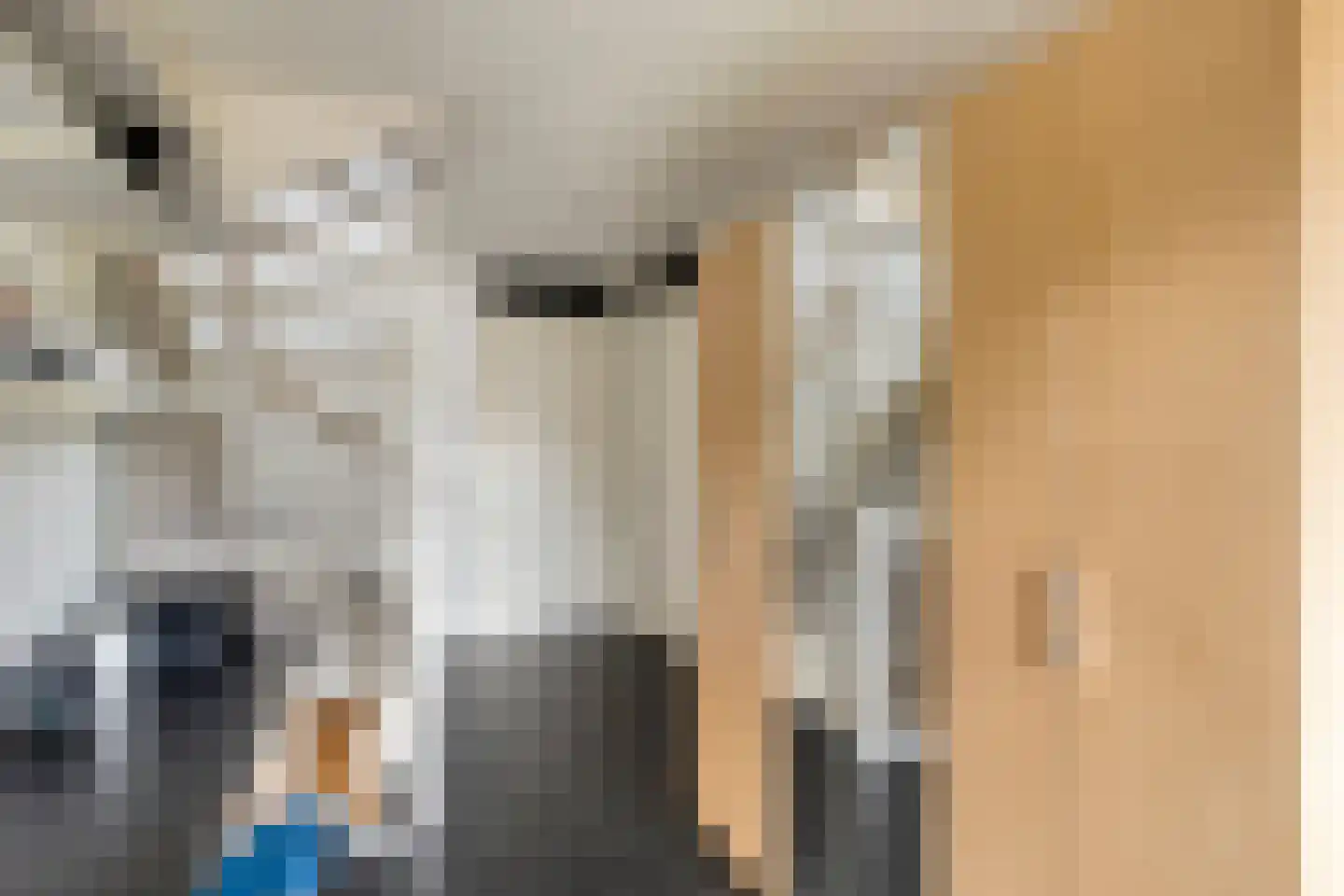 de Lingert 5821 Wijchen thumbnail 12