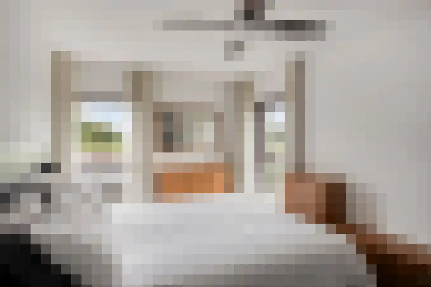 de Lingert 5821 Wijchen thumbnail 14