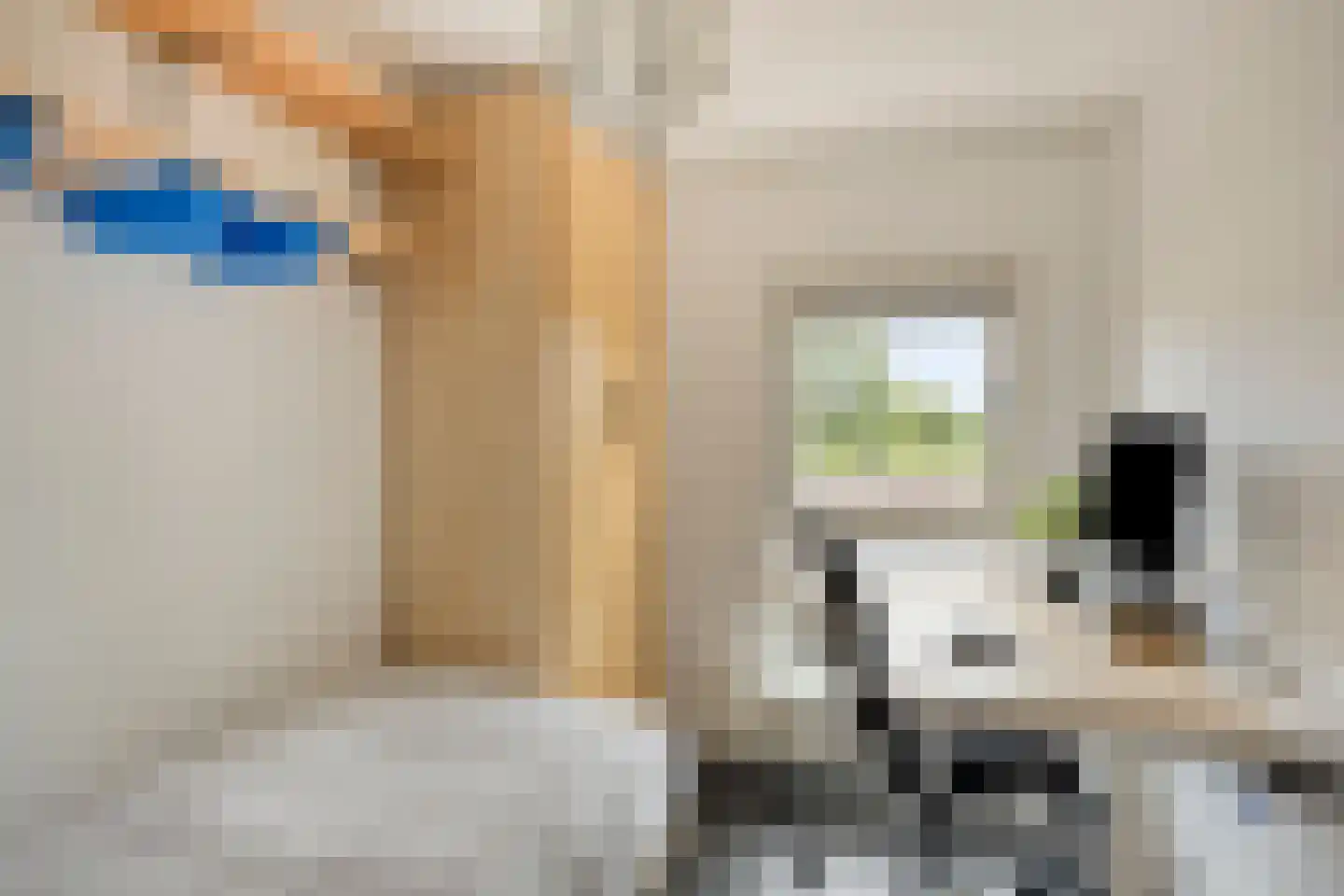 de Lingert 5821 Wijchen thumbnail 16