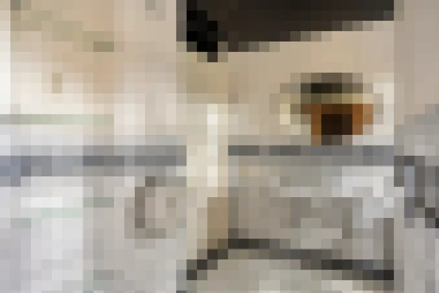 de Lingert 5821 Wijchen thumbnail 19