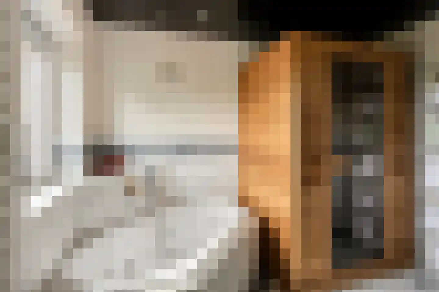 de Lingert 5821 Wijchen thumbnail 20