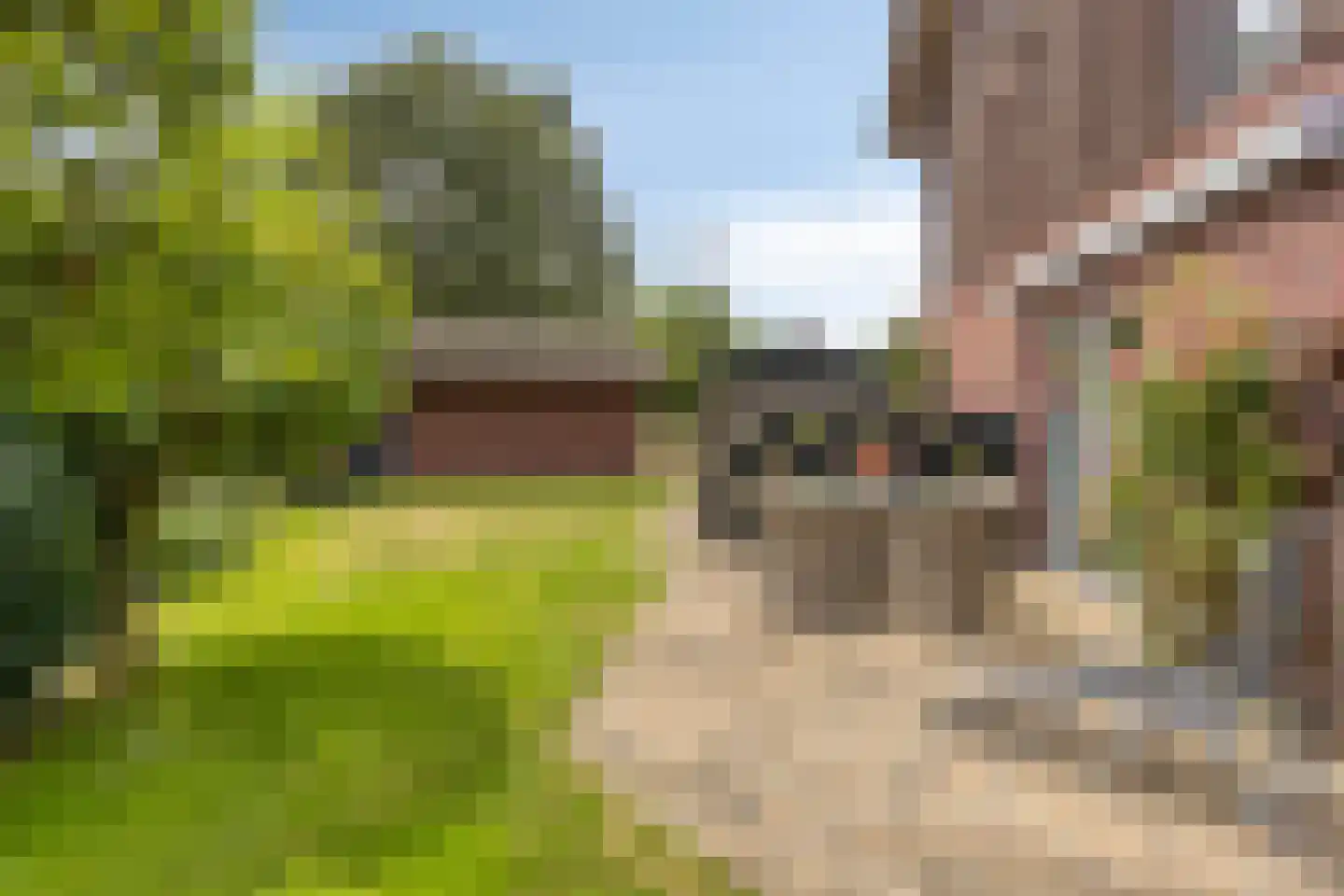 de Lingert 5821 Wijchen thumbnail 29