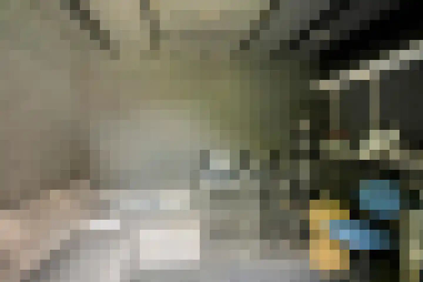 de Lingert 5821 Wijchen thumbnail 32