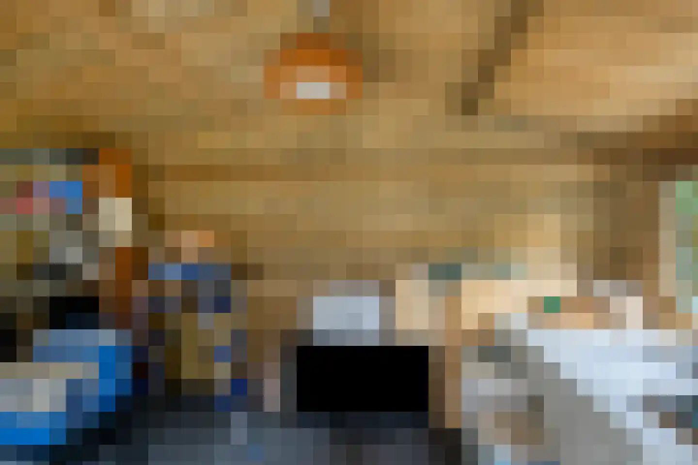 de Lingert 5821 Wijchen thumbnail 33